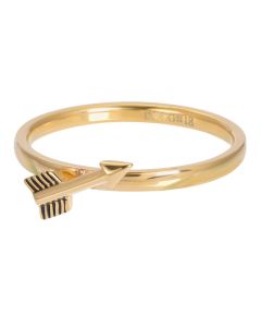 iXXXi Ring Arrow Gold Color - R03511-17