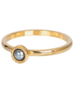 iXXXi Ring Royal Grey Gold Color - R05801-01-18